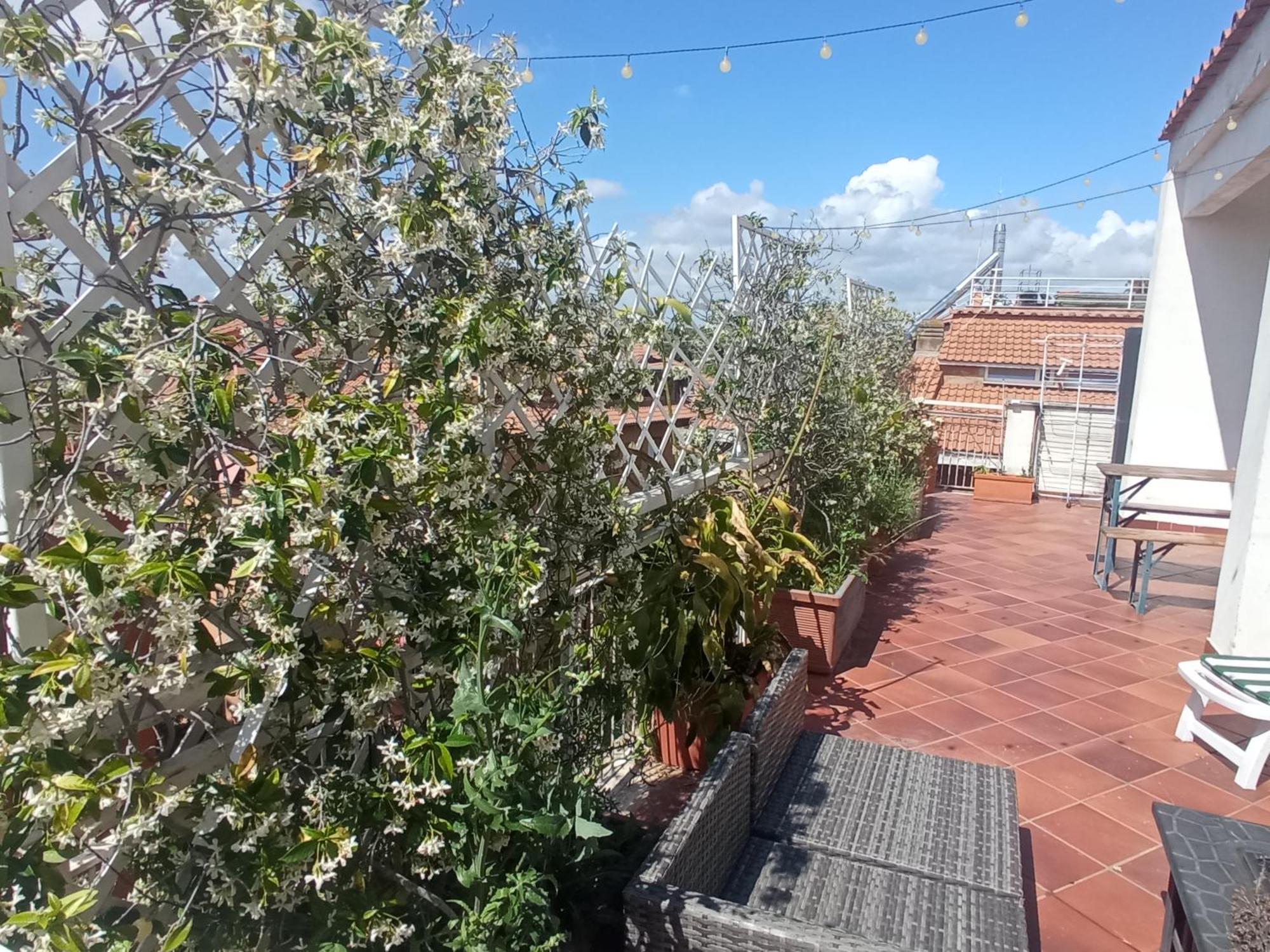 Rooftop Appia Antica,Silenzioso Riservato Two Bedrooms Two Bathrooms Řím Exteriér fotografie